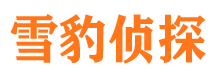 鹤城市私家侦探